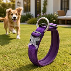 Dog Collar Purple Small Reflective Active Puppy Pet Lead Attachment O Ring