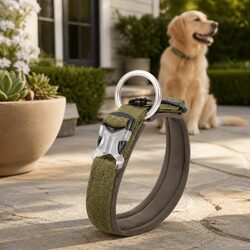Reflective XS Dog Collar for Active Puppies and Small Dogs