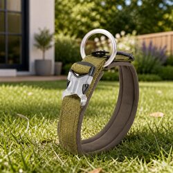 XL Army Green Dog Collar with Reflective O Ring