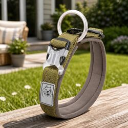 Reflective Army Green Dog Collar 2XL with Lead Attachment