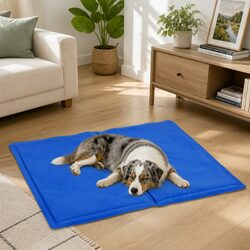Premium Pet Cooling Cushion for Dogs and Cats, Large Size