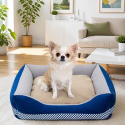 Durable Pet Dog Bed with Removable Cushion for All Seasons