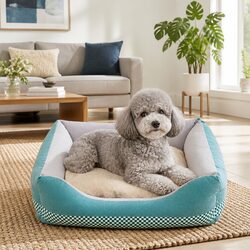 Premium Medium Size Dog Bed with Detachable Mattress
