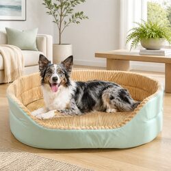 Premium Large Dog Cat Bed with Plush Warm Mattress