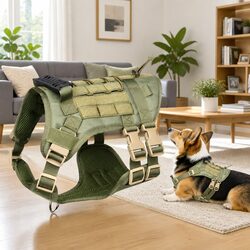 Sturdy Puppy Harness Leash Set with Poop Bag Dispenser Green