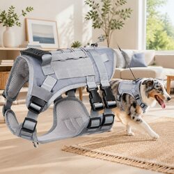 Durable Mesh Dog Harness with Leash and Vest