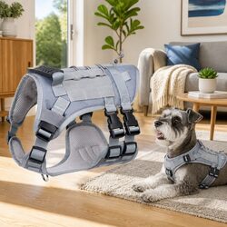 Durable Mesh Vest Harness for Small Dogs and Cats