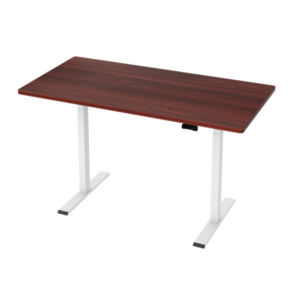 Aplusliving-Adjustable Dual Motor Standing Desk 140cm Walnut Finish Quiet Operation