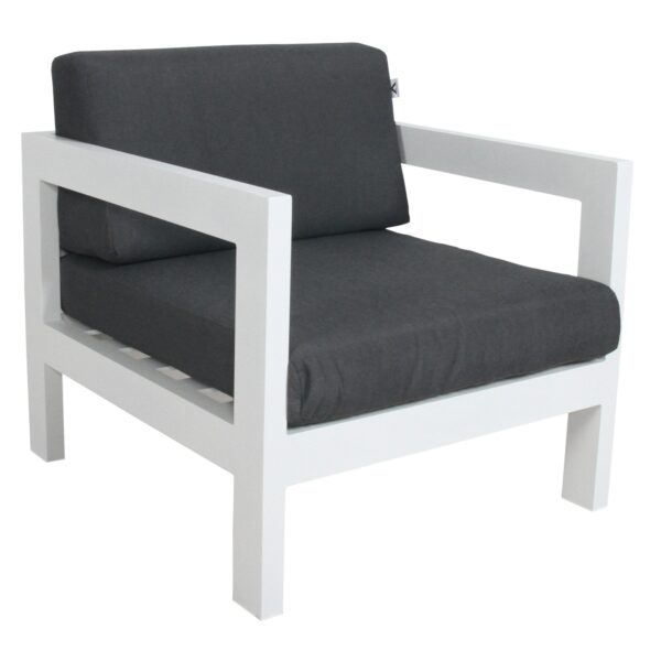 Aplusliving-Outdoor Sofa Lounge Chair Aluminium Frame White Weatherproof Cushions Coastal