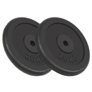 Aplusliving-Weight Plates 2 pcs 2x20 kg Cast Iron