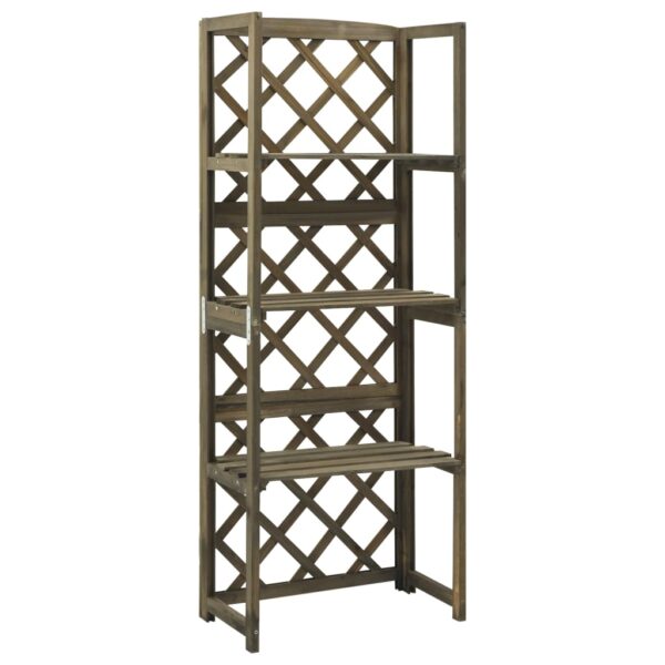 Aplusliving-Trellis with Shelves Grey 55x30x140 cm Solid Fir Wood