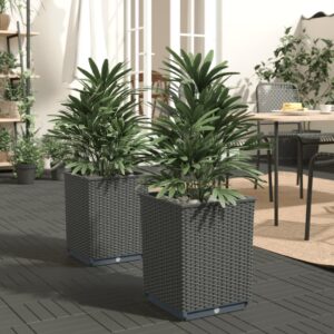Aplusliving-Planters 2 pcs Black 30x30x37 cm Polypropylene