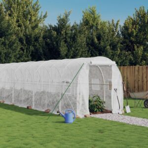 Aplusliving-Greenhouse with Steel Frame White 12 m² 6x2x2 m